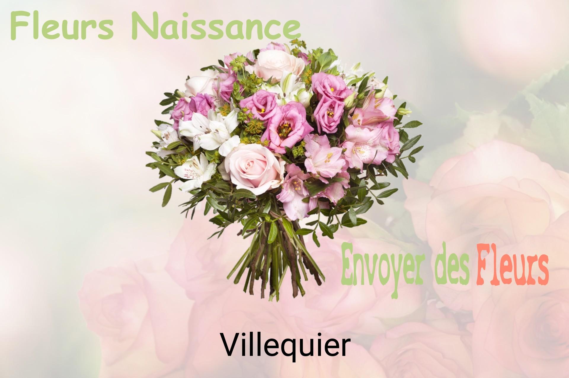 Bouquet de fleurs de naissance livré à Villequier