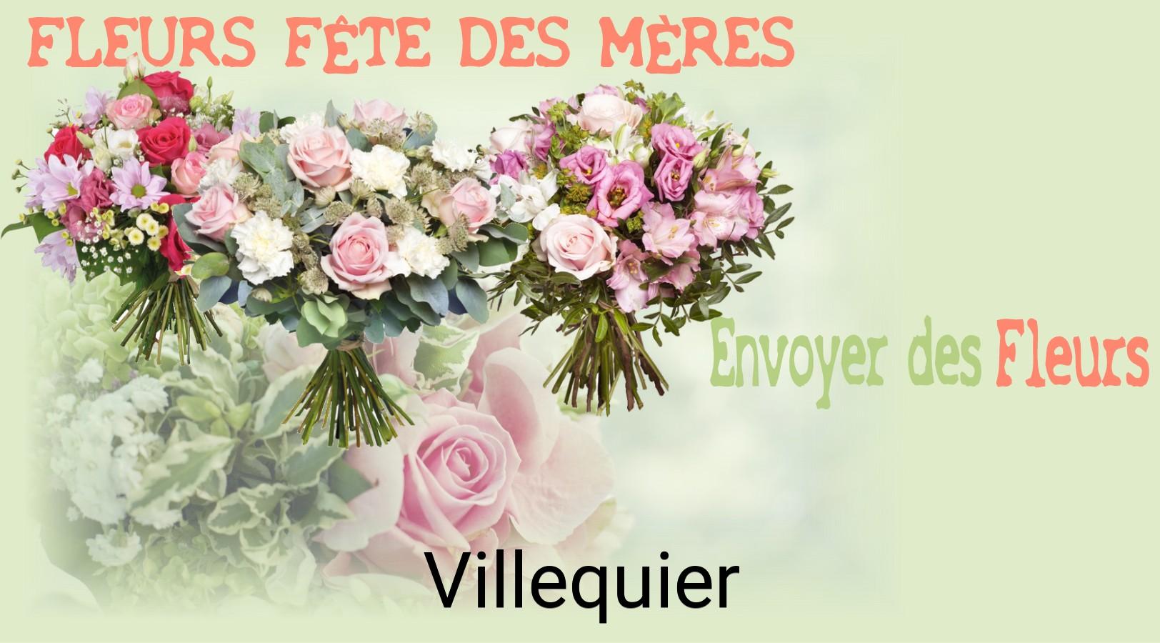 Bouquet de Fête des Mères livré à Villequier